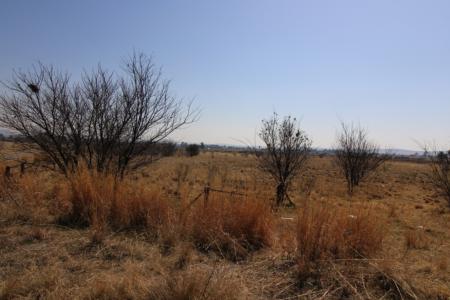 Bloemfontein, Free State, דרום אפריקה