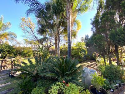 Modimolle, Limpopo, 남아프리카