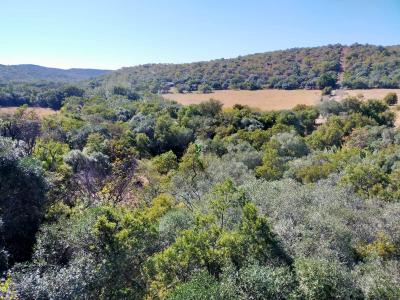 Swartruggens, North West, Afrique Du Sud