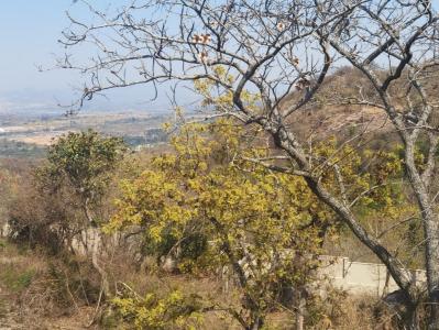Nelspruit, Mpumalanga, 南非