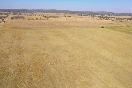 Modimolle, Limpopo, 南非