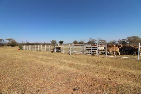 Modimolle, Limpopo, 南非