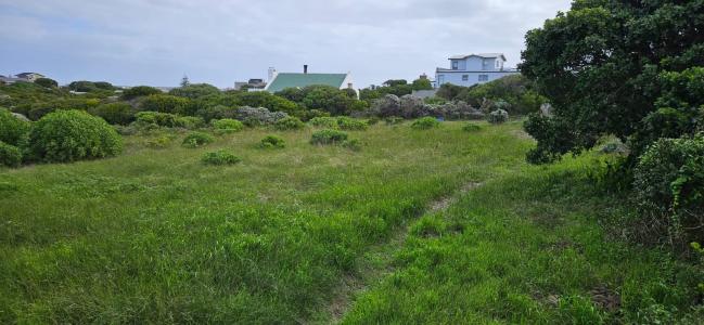 Gansbaai, Western Cape, 남아프리카