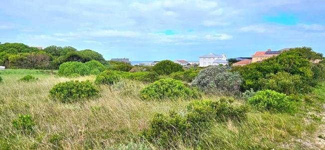 Gansbaai, Western Cape, 남아프리카