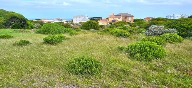 Gansbaai, Western Cape, 남아프리카