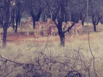 Potchefstroom, North West, South Africa