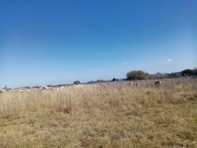 Parys, Free State, جنوب أفريقيا 