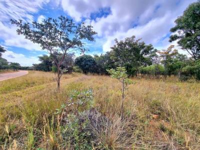Mookgopong, Limpopo, 南非