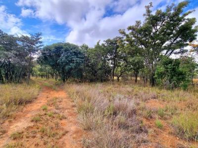 Mookgopong, Limpopo, 南非