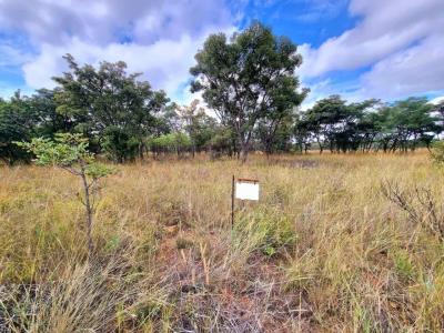 Mookgopong, Limpopo, 南非