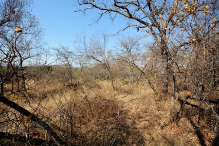 Hoedspruit, Limpopo, África Do Sul