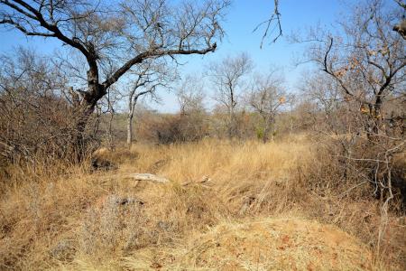 Hoedspruit, Limpopo, África Do Sul
