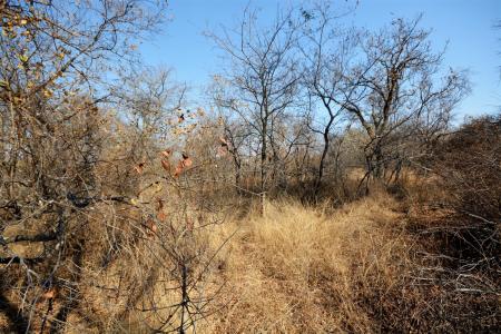 Hoedspruit, Limpopo, África Do Sul