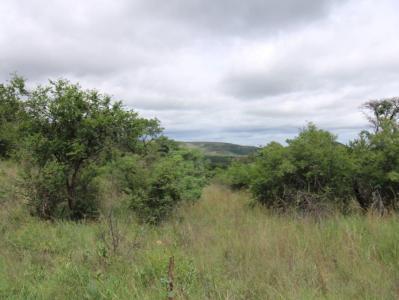 Bela Bela, Limpopo, 남아프리카
