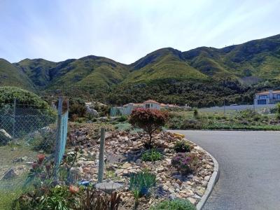 Hermanus, Western Cape, דרום אפריקה 