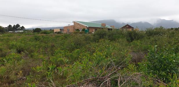 Hermanus, Western Cape, דרום אפריקה 
