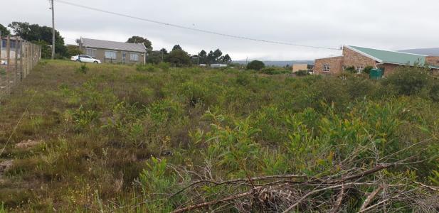 Hermanus, Western Cape, Sudafrica