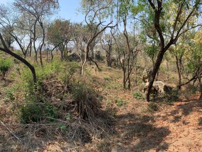 Nelspruit, Mpumalanga, 南非