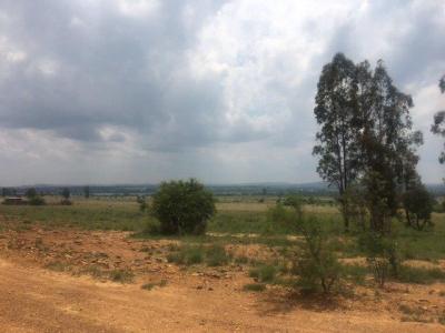 Potchefstroom, North West, South Africa