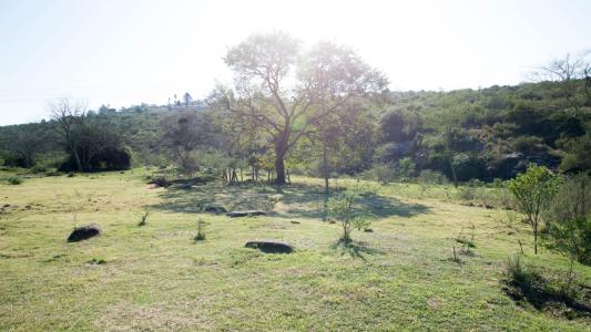 King Williams Town, Eastern Cape, Republika Południowej Afryki