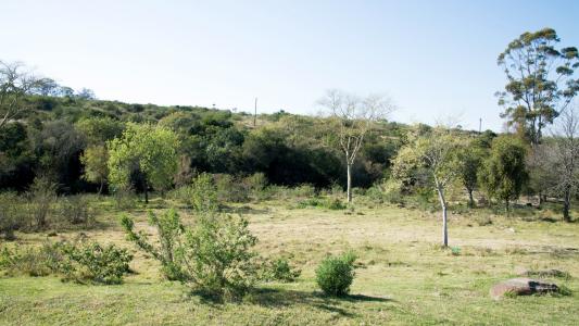 King Williams Town, Eastern Cape, Republika Południowej Afryki