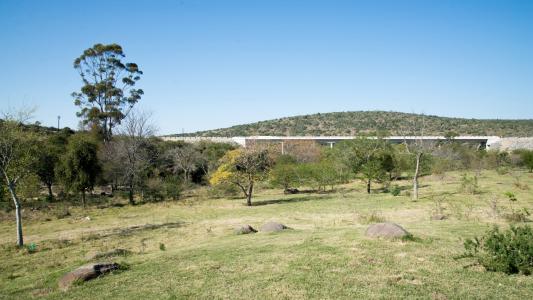 King Williams Town, Eastern Cape, Republika Południowej Afryki
