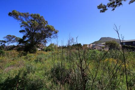 Bettys Bay, Western Cape, 南非