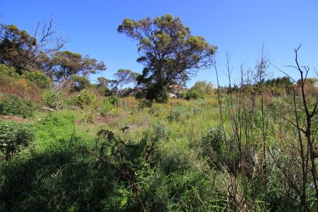 Bettys Bay, Western Cape, South Africa