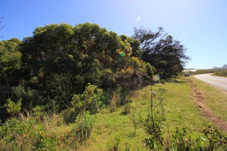 Bettys Bay, Western Cape, 南非