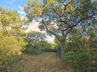 Hoedspruit, Limpopo, South Africa