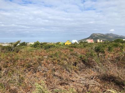 Bettys Bay, Western Cape, South Africa