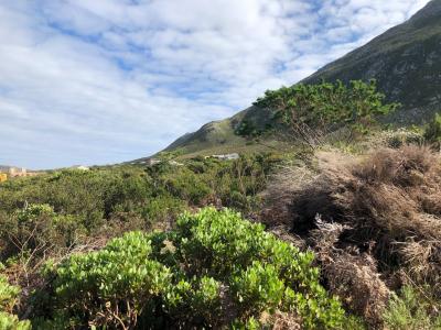Bettys Bay, Western Cape, 南非