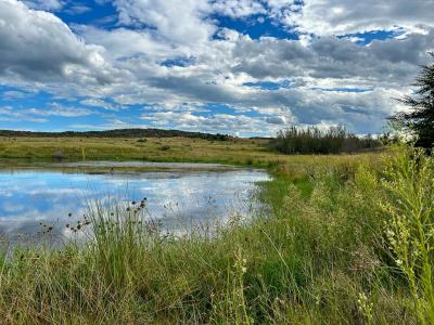 Potchefstroom, North West, South Africa