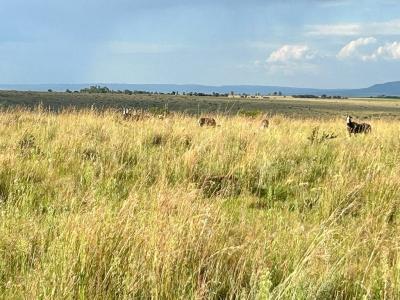 Potchefstroom, North West, South Africa