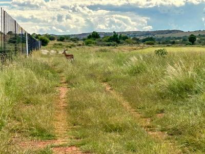 Potchefstroom, North West, South Africa