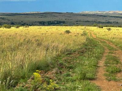 Potchefstroom, North West, South Africa