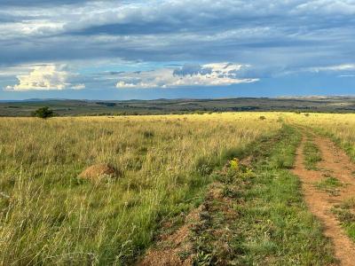 Potchefstroom, North West, South Africa