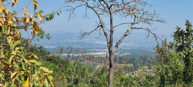 Nelspruit, מפומלנגה, דרום אפריקה 