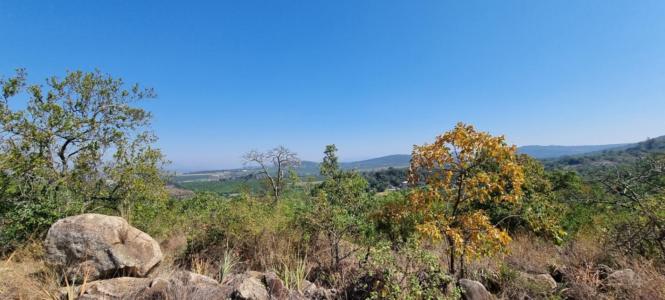 Nelspruit, מפומלנגה, דרום אפריקה 