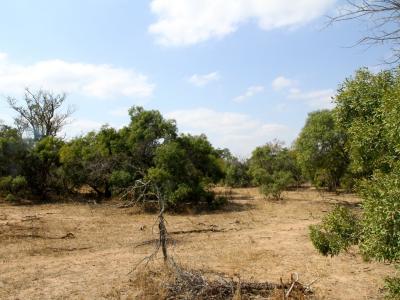 Hoedspruit, Limpopo, South Africa