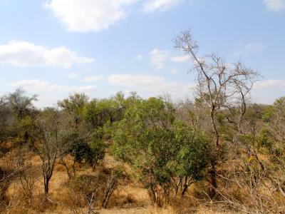 Hoedspruit, Limpopo, South Africa