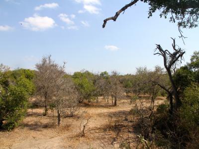 Hoedspruit, Limpopo, South Africa