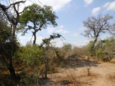Hoedspruit, Limpopo, South Africa