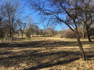 Bloemfontein, Free State, Nam Mỹ