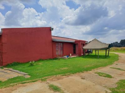 Springs, Gauteng, South Africa