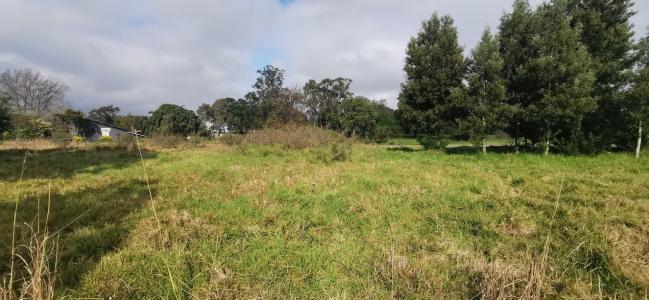 Knysna, Western Cape, Nam Mỹ