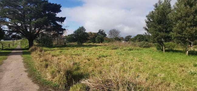 Knysna, Western Cape, Южная Африка