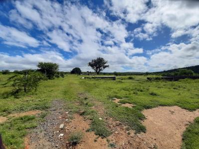 King Williams Town, Eastern Cape, جنوب أفريقيا