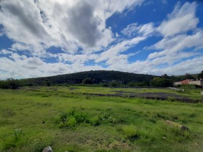 King Williams Town, Eastern Cape, جنوب أفريقيا