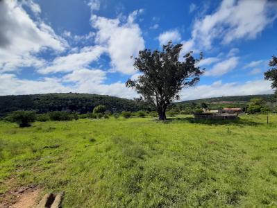 King Williams Town, Eastern Cape, جنوب أفريقيا